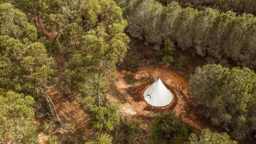 an aerial view of a tent in the middle of a forest at The Lemon Lodge in Aljezur