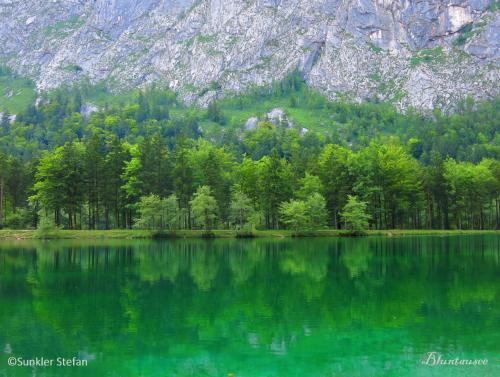Naturlandschaft in der Nähe der Pension