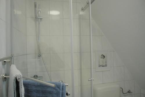 a shower with a glass door in a bathroom at FischLANDinSicht in Ribnitz-Damgarten