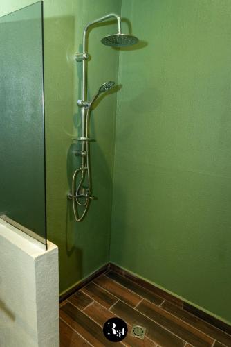 a green bathroom with a shower with a glass door at R34 Boutique Guest House in Veliko Tŭrnovo