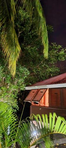 a building with palm trees in front of it at Bungalow et Duplex de Island Bay in Bouillante