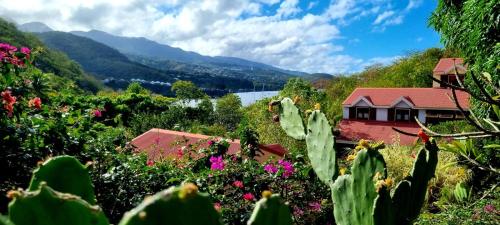 a house in the mountains with flowers and plants at Bungalow et Duplex de Island Bay in Bouillante