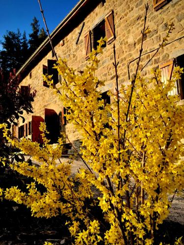 a tree with yellow leaves in front of a building at Grange De Sagne maison et table d hôtes avec dîner sur réservation in Saint-Jean-Roure