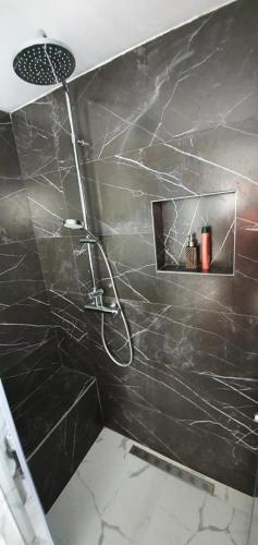 a shower in a bathroom with a black marble wall at Sea side apartment in Kotor