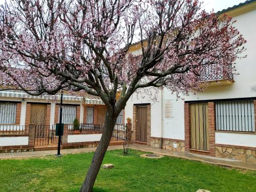 a flowering tree in front of a building at Del Romero in Arroyo Frio