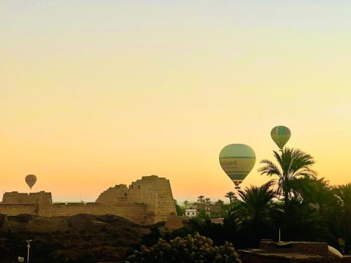a group of hot air balloons flying over a temple at Rose Guest House in Luxor