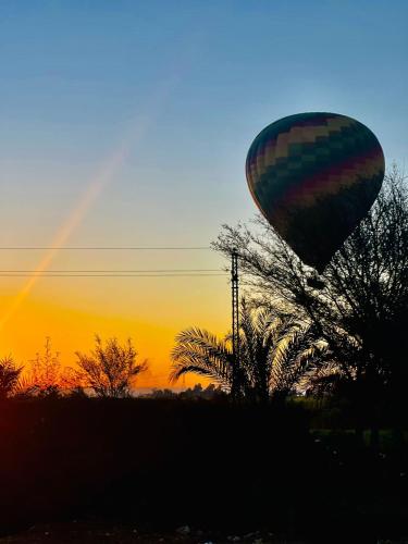 a hot air balloon flying over a tree at sunset at Rose Guest House in Luxor