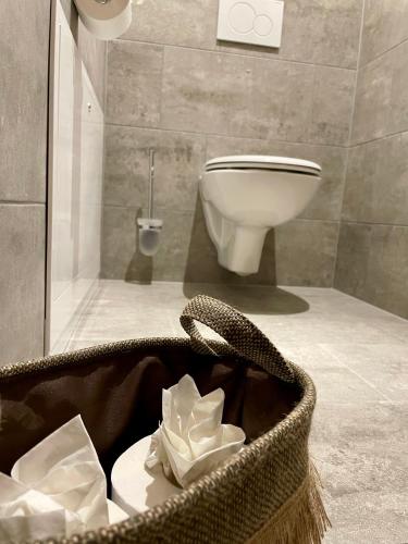 a bathroom with a toilet and a basket of tissues at Wasserfall Apartments Mellau in Mellau
