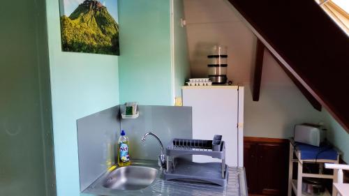 La cuisine est équipée d'un évier et d'un réfrigérateur. dans l'établissement Appartement Les Bougainvilliers Vue Mer, à Saint-Claude