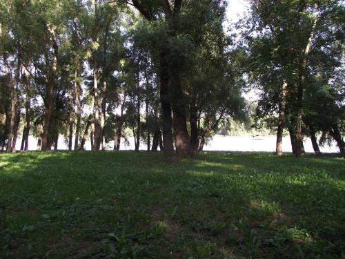 Gallery image of Bungalow Park in Szentendre