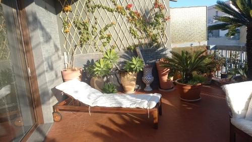 Confortevole photo 67