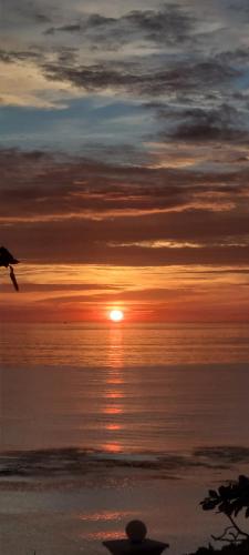 a bird flying over the ocean at sunset at Beachfront Bed & Breakfast in San Jose