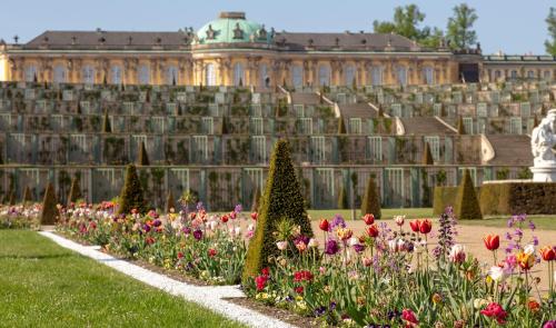 a garden with flowers in front of a building at Holiday Inn Express & Suites - Potsdam by IHG in Potsdam
