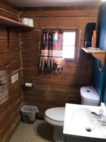 a bathroom with a toilet and a window at Grandview Cabins & RV Resort in South Fork
