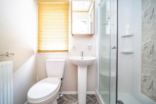 een badkamer met een toilet, een wastafel en een douche bij Discover, Relax, Enjoy - All-Round Luxury Lodge in Carlisle