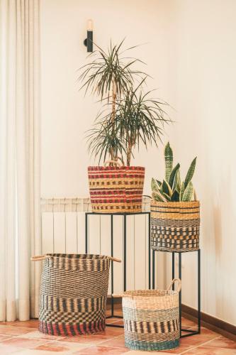 three plants on a metal stand with three baskets at Vale Pisco in Bombarral