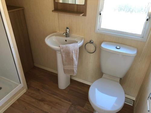 a small bathroom with a toilet and a sink at Evans Whitehouse Caravan Towyn in Abergele
