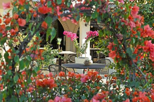 Κήπος έξω από το Hotel Del Rio