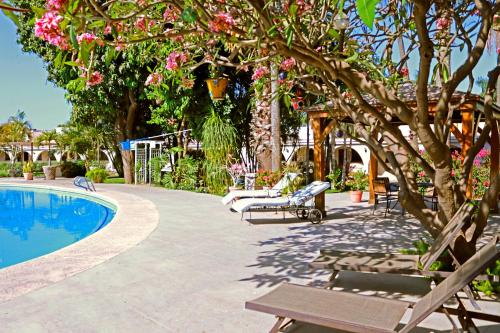 Piscina en o cerca de Hotel Del Rio