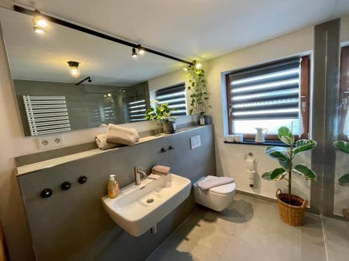 a bathroom with a sink and a toilet and a mirror at Haus Erich K. in Berchtesgaden