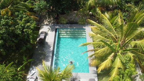 an overhead view of a swimming pool with a palm tree at Richards Cabanas in Tissamaharama