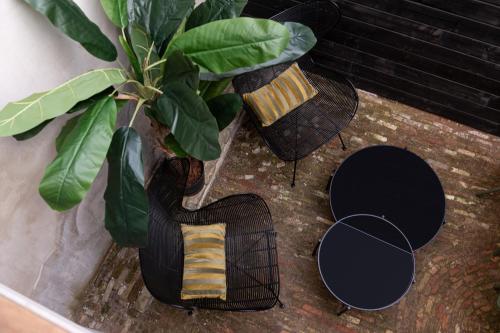 a plant in a black chair next to a plant at Boutiquehotel Princenjagt in Middelburg