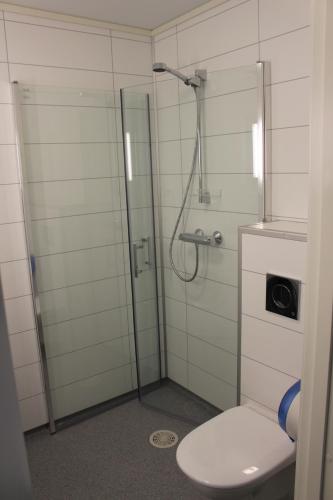 a bathroom with a glass shower with a toilet at Briksdalsbre Fjellstove in Briksdalsbre
