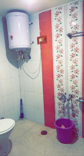 a bathroom with a shower with a toilet and a bucket at Hotel Young Mamta in Srinagar