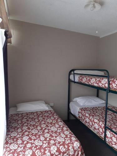 Bunk bed o mga bunk bed sa kuwarto sa Paeroa Rail Trail Motel