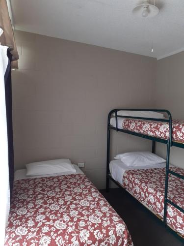 a room with two bunk beds in a room at Paeroa Rail Trail Motel in Paeroa