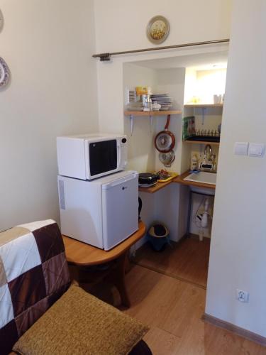 a kitchen with a microwave on top of a table at Apartament pod Zakrytym Mostem in Lądek-Zdrój