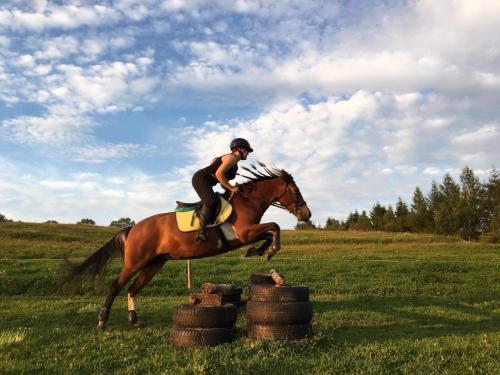 a person riding a horse jumping over a barrel at Knieja u Andrzeja in Lutowiska
