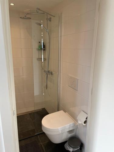 een badkamer met een toilet en een douche bij Prins Heerlijk in Sassenheim