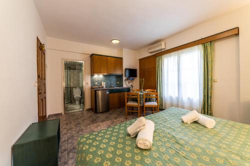 Gallery image of Hotel Odeon in Vasiliki
