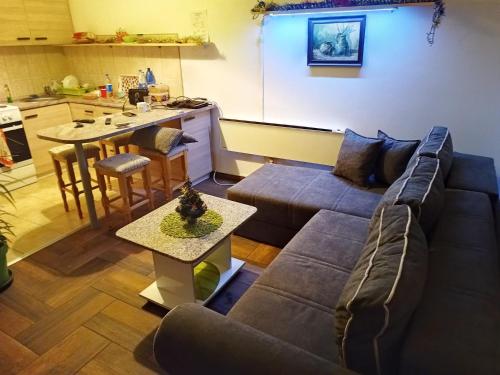 ein Wohnzimmer mit einem Sofa und einem Tisch in der Unterkunft Smiley Apartman in Vrnjačka Banja