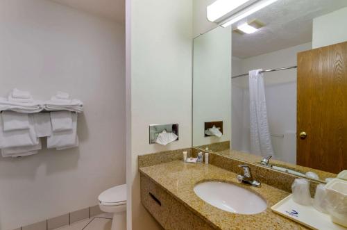 Comfort Inn Atkins-Marion I-81 في Atkins: حمام مع حوض ومرحاض ومرآة