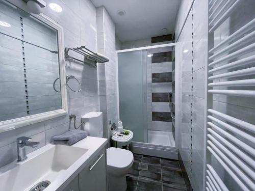 La salle de bains est pourvue d'un lavabo, de toilettes et d'une douche. dans l'établissement Top Art Topusko Apartments, à Topusko