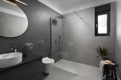 a bathroom with a sink and a toilet and a mirror at Villa Anthea Paola in Nedeščina