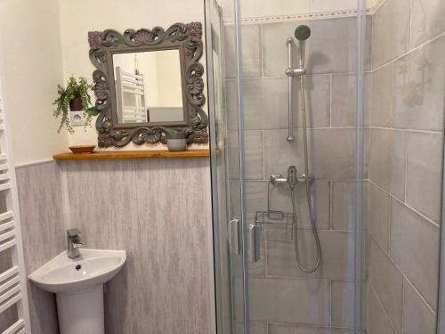 a bathroom with a shower and a sink and a mirror at La Maison Bleue in Préveranges