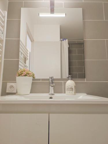 - un lavabo avec miroir et une bouteille de savon dans l'établissement Casa Flamingo - Appartement charmant et moderne - 6 -, à Canet