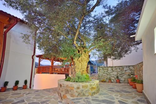 a large tree with a deck on top of it at Plokamos House in Plokamianá