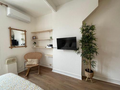 een slaapkamer met een plant en een tv aan de muur bij Joli Appart avec Parking en coeur de ville de SETE in Sète