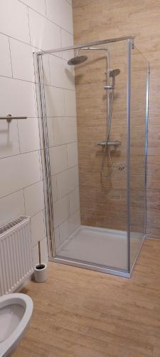 een douche met een glazen deur in de badkamer bij Louis in Maaseik
