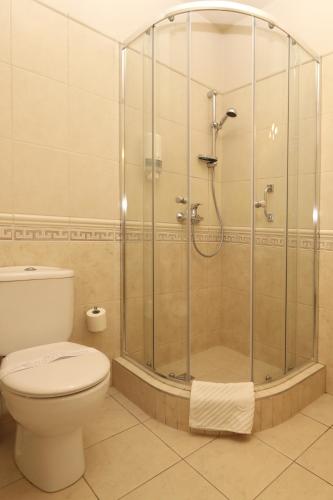 a bathroom with a shower and a toilet at Biały Dom Henlex Hotel Restauracja in Poznań