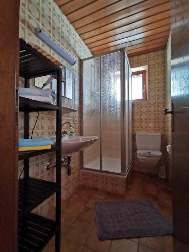 a bathroom with a sink and a shower and a toilet at Haus Martha in Kaunertal