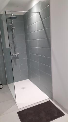 une douche avec une porte vitrée dans une salle de bain dans l'établissement Charmant studio en plein centre de Montoire, à Montoire-sur-le-Loir