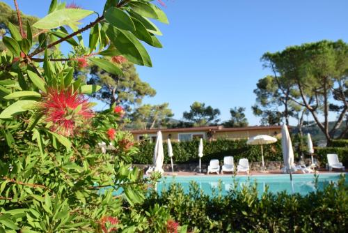Borgo di Pomaia – Photos 3