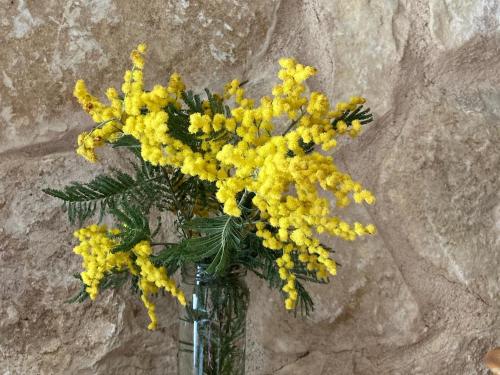 a vase filled with yellow flowers in front of a rock at Casa Rural Alquería de Segovia in Tizneros