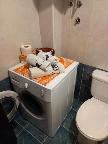 una lavatrice in un bagno accanto a un WC di Sofia Apartment a Surčin