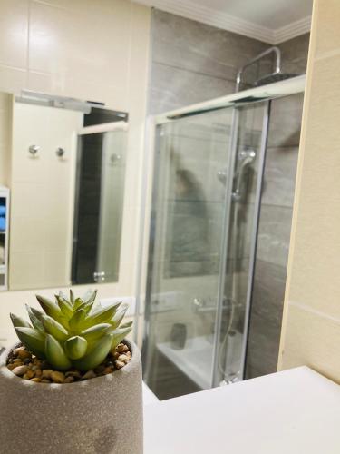 a bathroom with a shower and a potted plant at APARTAMENTO con Jardín en Bádames in Bádames